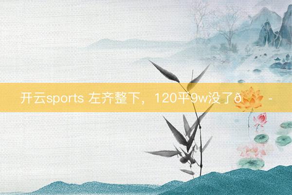 开云sports 左齐整下，120平9w没了😭