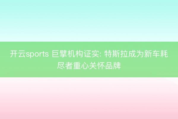 开云sports 巨擘机构证实: 特斯拉成为新车耗尽者重心关怀品牌