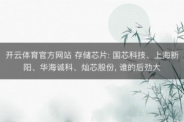 开云体育官方网站 存储芯片: 国芯科技、上海新阳、华海诚科、灿芯股份， 谁的后劲大