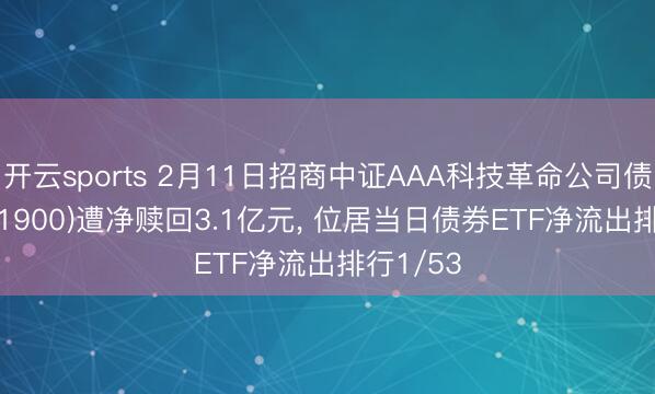 开云sports 2月11日招商中证AAA科技革命公司债ETF(551900)遭净赎回3.1亿元， 位居当日债券ETF净流出排行1/53