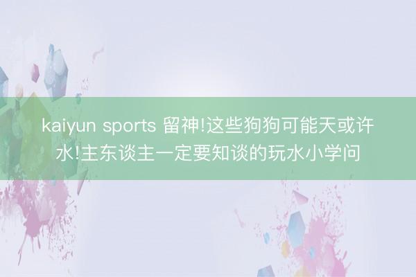 kaiyun sports 留神!这些狗狗可能天或许水!主东谈主一定要知谈的玩水小学问