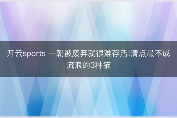 开云sports 一朝被废弃就很难存活!清点最不成流浪的3种猫