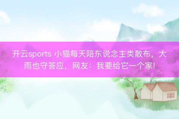 开云sports 小猫每天陪东说念主类散布,大雨也守答应,网友:我要给它一个家!