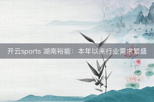 开云sports 湖南裕能：本年以来行业需求繁盛