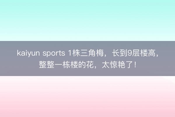 kaiyun sports 1株三角梅，长到9层楼高，整整一栋楼的花，太惊艳了！