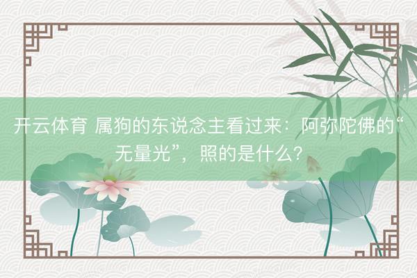 开云体育 属狗的东说念主看过来：阿弥陀佛的“无量光”，照的是什么？