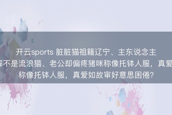 开云sports 脏脏猫祖籍辽宁、主东说念主隔三差五拍视频辩解不是流浪猫、老公却偏疼猪咪称像托钵人服，真爱如故审好意思困倦？