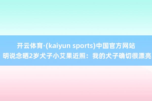 开云体育·(kaiyun sports)中国官方网站 明说念晒2岁犬子小艾果近照：我的犬子确切很漂亮