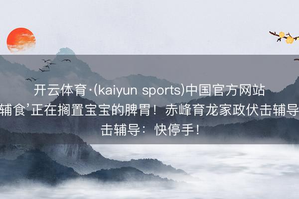 开云体育·(kaiyun sports)中国官方网站 这4种‘毒辅食’正在搁置宝宝的脾胃！赤峰育龙家政伏击辅导：快停手！