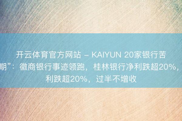 开云体育官方网站 - KAIYUN 20家银行苦撑IPO“冰封期”：徽商银行事迹领跑，桂林银行净利跌超20%，过半不增收