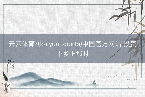 开云体育·(kaiyun sports)中国官方网站 投资下乡正那时