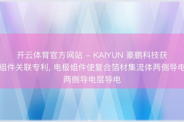 开云体育官方网站 - KAIYUN 豪鹏科技获取电极组件关联专利， 电极组件使复合箔材集流体两侧导电层导电