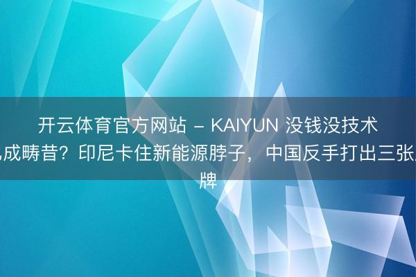 开云体育官方网站 - KAIYUN 没钱没技术已成畴昔?印尼卡住新能源脖子,中国反手打出三张牌